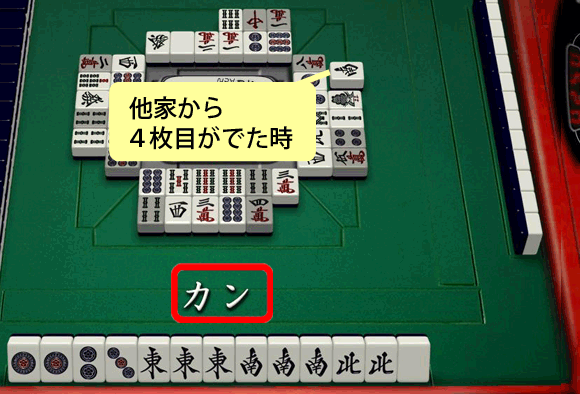 ミンカンの説明１