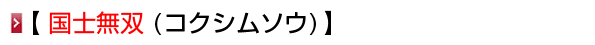 国士無双 (コクシムソウ)